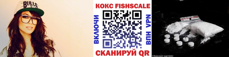 где купить наркотик  Вологда  COCAIN Fish Scale 