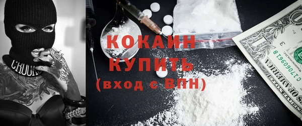 сатива Абинск