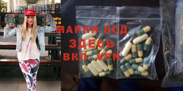 сатива Абинск