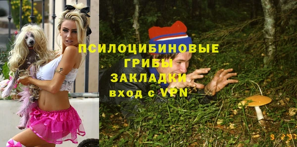дмт Абдулино