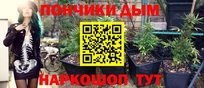 соль ск Новодвинск