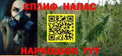 соль ск Новодвинск