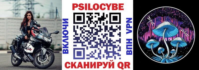 наркота  Вологда  Галлюциногенные грибы Cubensis 