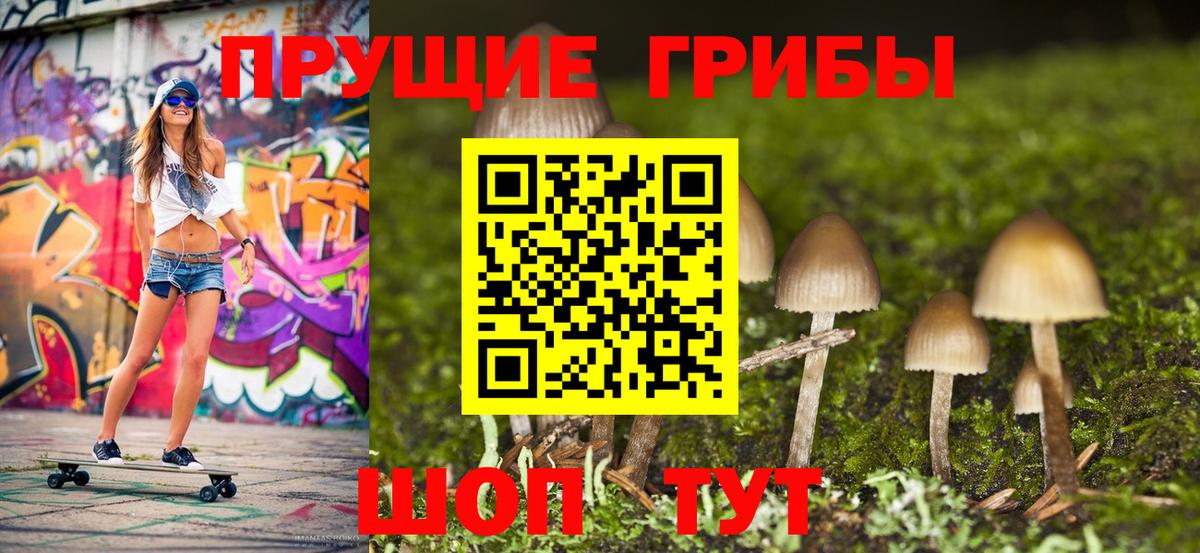 Галлюциногенные грибы MAGIC MUSHROOMS  Вход с VPN  Вологда 