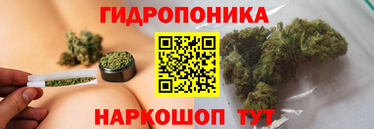 Конопля тримм  Шишки марихуана AK-47  Вход с VPN  Вологда 